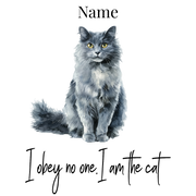 Personalized Pet Mug with fluffy long-haired cat illustration on white ceramic background